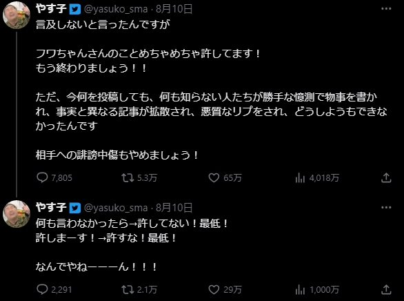 フワちゃんのやす子に対する発言で大炎上→活動停止