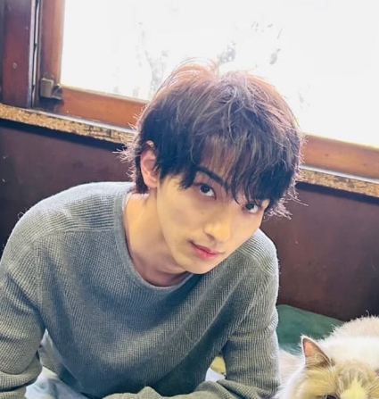 横浜流星の熱愛の真相とは?共演者との噂と母親の結婚観を徹底紹介
