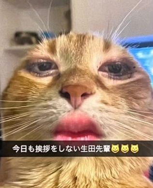 誤爆はどう発覚したのかと拡散の経緯